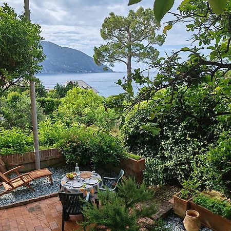 B&B La Taverna Di Mulinetti Recco Extérieur photo